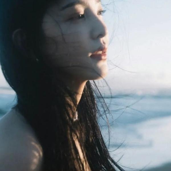 如翼之舟
